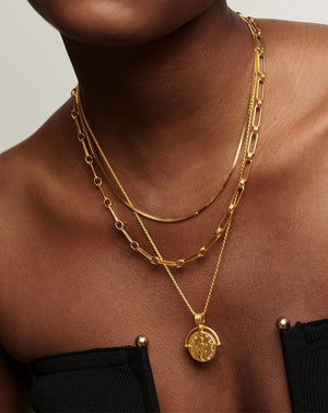 18K Gold Vermeil Aegis Chain Necklace.